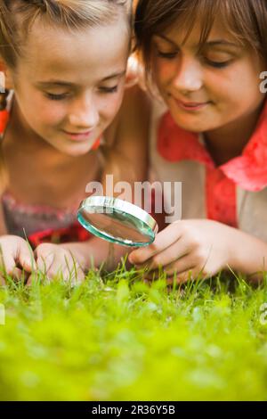 Il capretto con lente di ingrandimento Foto Stock