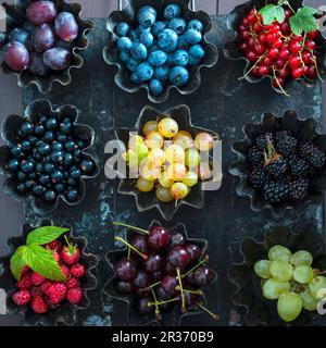 Piccole teglie da forno rifornite di uva viola e verde, lamponi, ciliegie acide, mirtilli, more, ribes rosso e nero e uva spina Foto Stock