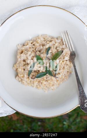 Orzotto - risotto all'orzo, piatto tradizionale italiano. Pera d'orzo con burro, vino bianco, parmigiano, gorgonzola e salvia Foto Stock