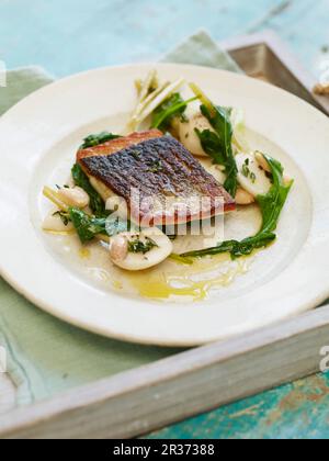 Pan fried spigola, decapati estate navoni, appassì cime e mandorle tostate Foto Stock