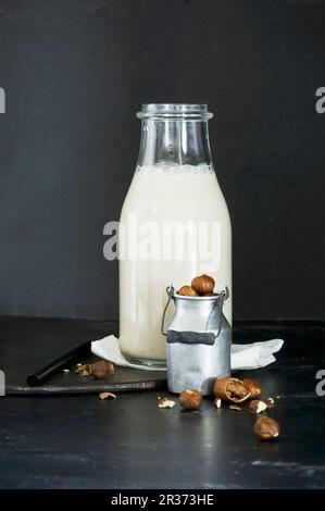 Latte di nocciola fatto in casa in una bottiglia di vetro e nocciole in una mini caraffa del latte Foto Stock