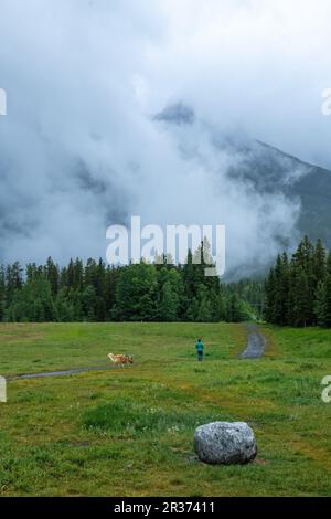 Un uomo che cammina in un campo verde con il suo cane con montagne nebbie e alberi sullo sfondo Foto Stock