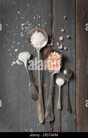 Cinque mini cucchiai d'annata quattro ripieni di diversi tipi di sale e uno girato su una superficie di legno rustico agray Foto Stock