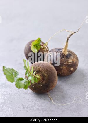 Tre raggiature nere daikon Foto Stock