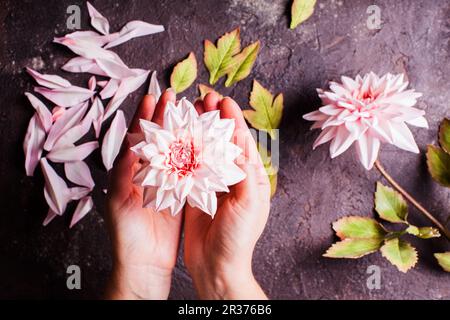 DIY rendendo fiori realistici Foto Stock