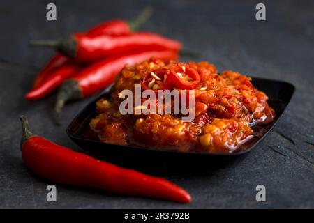 Nero piatto di plastica con pasta di peperoncino in olio di oliva con fresco intero di uccelli-eye peperoncini rossi Foto Stock