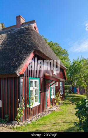 Con il tetto di paglia casa in legno in Data di nascita Foto Stock