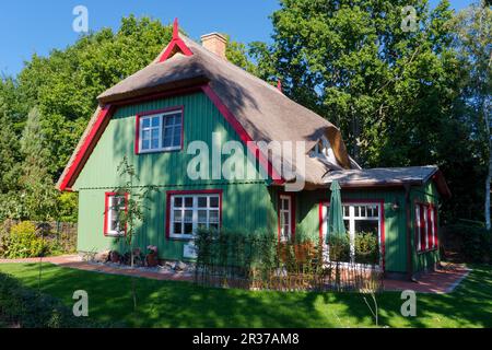 Con il tetto di paglia casa in legno in Data di nascita Foto Stock