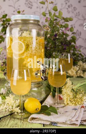 In casa il sambuco blossom limonata Foto Stock