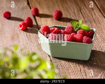 Lamponi in una cestella di carta Foto Stock