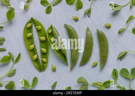 Cialde di piselli e germogli di piselli, vista dall'alto Foto Stock