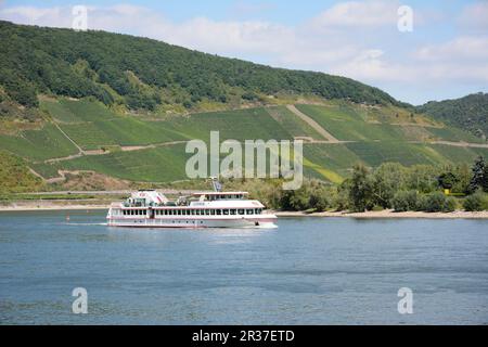 BOPPARD, GERMANIA, 2 SETTEMBRE: I turisti fanno un viaggio di andata e ritorno in nave sul fiume Rhein a Boppard, Germania il 2 settembre 2013. La nave Godesburg Foto Stock