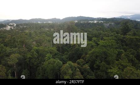 Il paesaggio della foresta pluviale tropicale di Ulu Masen ad Aceh, Indonesia, dove vi è un'elevata biodiversità come animali chiave come l'elefante e la tigre Sumatra Foto Stock