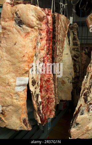 Mucca metà in un magazzino refrigerato Foto Stock