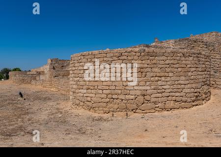 Sito UNESCO al-Baleed Parco Archeologico franco porto commerciale, Salalah, Oman Foto Stock