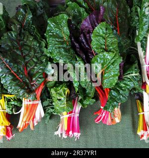 Swiss Chard al mercato di un agricoltore biologico Foto Stock
