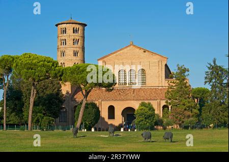 Basilica di Sant'Apollinare in Classe, Patrimonio dell'Umanità dell'UNESCO, Ravenna, Emilia Romagna, Italia Foto Stock