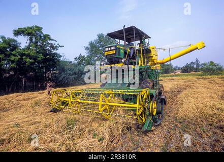 Macchina per la raccolta del riso nei campi di Neyveli, Cuddalore, Tamil Nadu, India del Sud, India, Asia Foto Stock