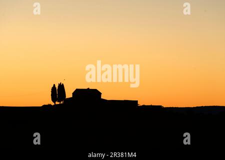 Europa, Toscana, Val d'Orcia, Settembre 2013, Unesco, Italia Foto Stock