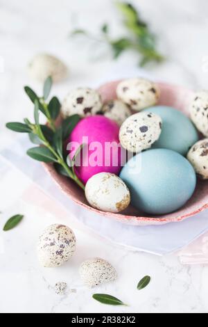 Uova di quail e uova di Pasqua colorate in una ciotola Foto Stock