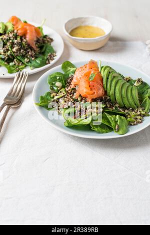 Insalata di salmone affumicato, spinaci e quinoa all'avocado con mente fresca e semi tostati Foto Stock