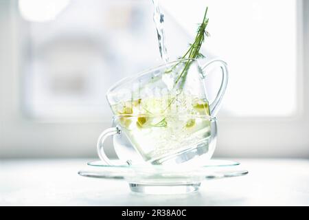 L'acqua calda viene versata su fiori di camomilla freschi in due tazze di vetro impilate l'una sull'altra Foto Stock