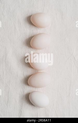 Una fila di sei uova d'anatra bianche Foto Stock
