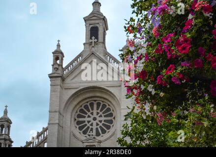 Fiori della Chiesa di Notre-Dame du Sablon a Bruxelles, Belgio Foto Stock