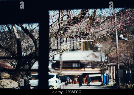 Stazione di Kurama, Prefettura di Kyoto, Giappone Foto Stock