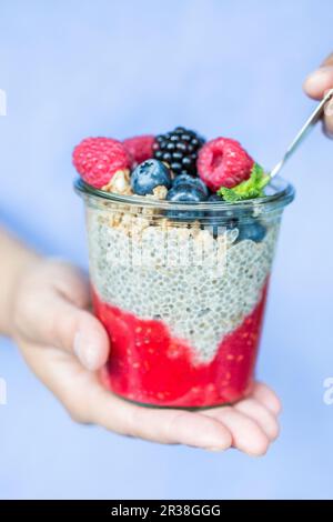 Chiapudding con frutti di bosco e cereali Foto Stock