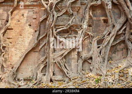 Le rovine pre-angkoriane di Sambor Prei Kuk in Cambogia dimostrano le origini dell'architettura Khmer Foto Stock