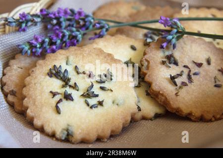 Biscotti alla lavanda con lavanda inglese (Lavendula angustifolia) Foto Stock