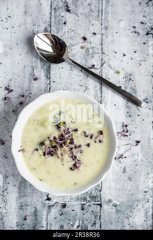 Zuppa di patate, broccoli e formaggio con germogli rossi Foto Stock