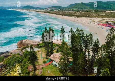 Joaquina spiaggia con alberi e oceano blu con le onde in Brasile. Vista aerea Foto Stock