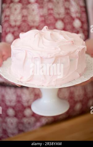 Torta al cioccolato con la glassa Foto Stock
