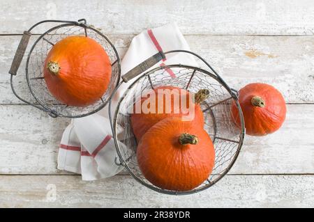 Hokkaido è un gourds in un cesto di filo metallico Foto Stock