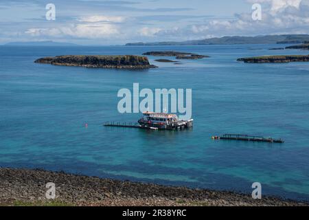 Mull Scotland Regno Unito - 4 Giugno 2019: piccoli tour in barca vicino a riva in tour nelle Ebridi Interne Foto Stock