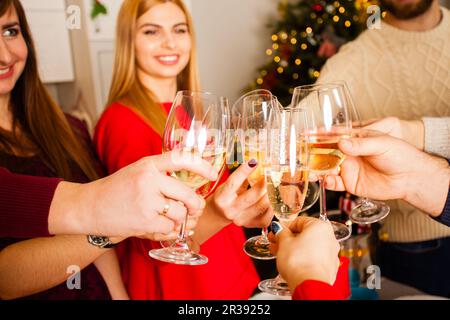 Persone che brindano per celebrare l'evento godendo delle vacanze invernali Foto Stock