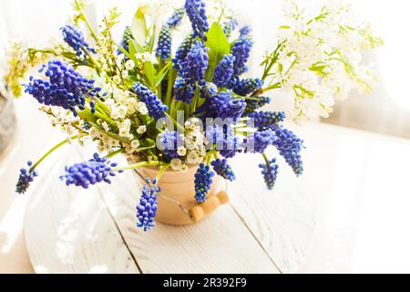 Mazzo di giacinti d'uva in vaso di ceramica Foto Stock