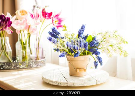 Mazzo di giacinti d'uva in vaso di ceramica Foto Stock