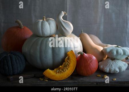 Un assortimento di zucche, zucche e zucche Foto Stock