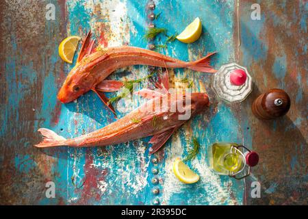 Gurnard, olio d'oliva, pepe, sale marino e limone Foto Stock