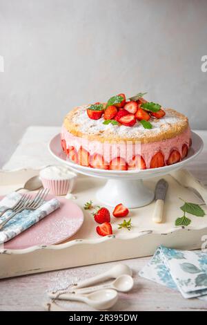 Torta fatta con mousse di fragole e spugna genoise con fragole fresche Foto Stock