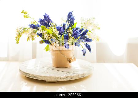 Mazzo di giacinti d'uva in vaso di ceramica Foto Stock