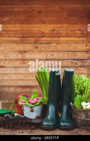 Attrezzi da giardinaggio e fiori sul tavolo in giardino Foto Stock