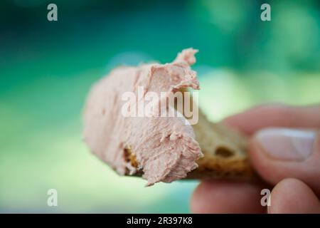 Fegato pâté su un pezzo di pane Foto Stock