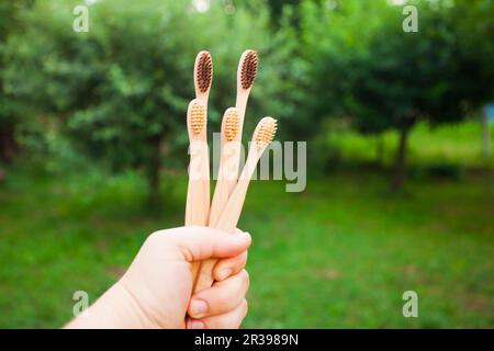 Cinque spazzolini da denti di bambù in una mano all'aperto Foto Stock