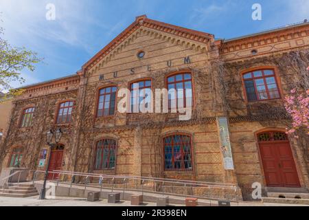 Museo Mueritzeum, vecchio edificio, paese Waren, Mueritz, Mecklemburgische Seenplatte, Meclemburgo-Pomerania occidentale, Germania orientale, Europa Foto Stock