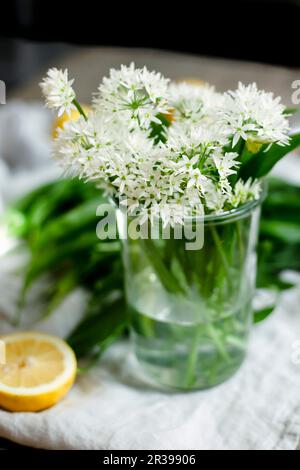 Fiori di aglio selvatico in un vaso di vetro Foto Stock