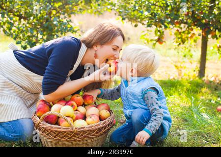 Carino il bambino e la madre di mangiare apple nel giardino. La famiglia felice la raccolta di mele in un agriturismo Foto Stock